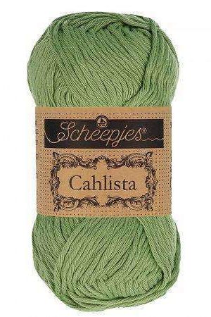 Scheepjes Cahlista 212 Sage Green Op = Op