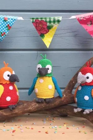 Koop Online Haakpakket: Papegaaitje Pico