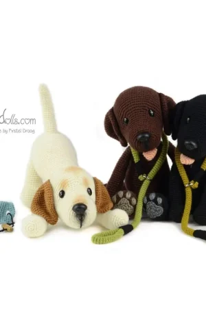 Garenpakket: Labrador Bo, Spike of Flits Beste Prijs