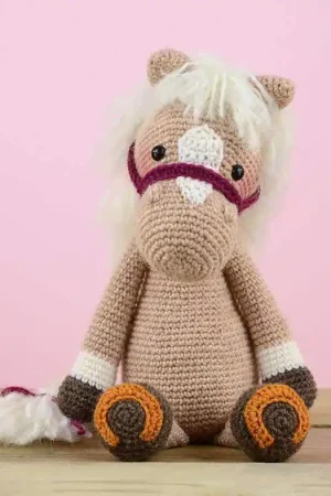 Alleen Vandaag Garenpakket: Paardje Piem