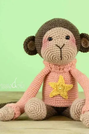 Garenpakket: Aapje Ankie Lage Kosten