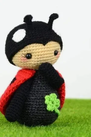 Haakpakket: Lieveheersbeestje Stip Shop Nu