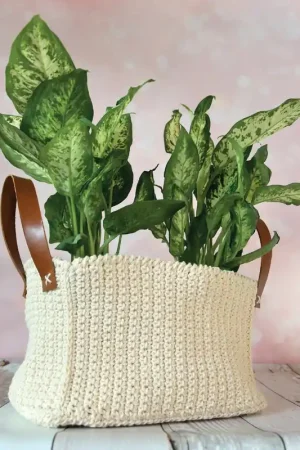 Garenpakket: Plantenmand Jess Betaalbaar