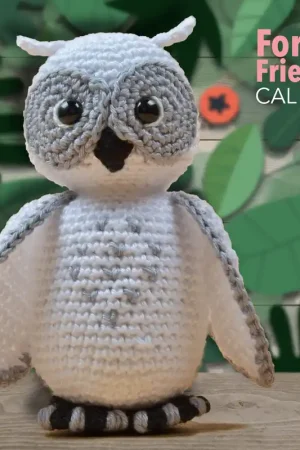 Haakpakket: Uil Uma Tijdelijk Beschikbaar