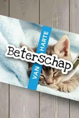 Gelegenheidskaartje: Beterschap Koopje