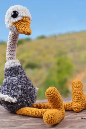 Betaalbaar Haakpakket: Struisvogel Siem