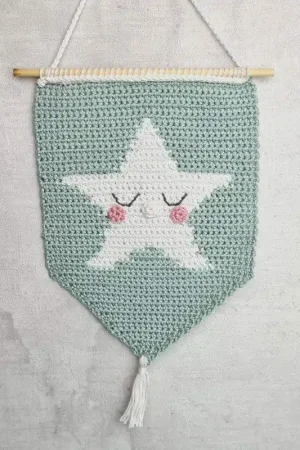 Koop Vandaag Haakpakket: HardiCraft Muurhanger Ster