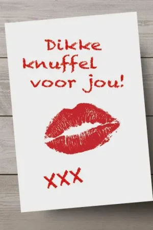 Ansichtkaart: Dikke knuffel voor jou! Superprijs