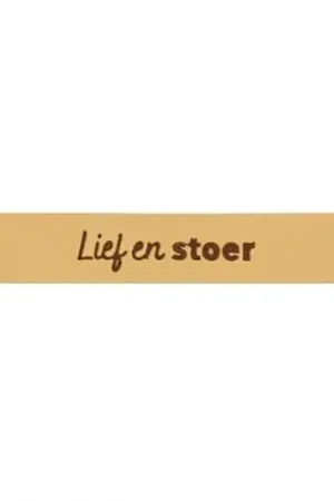Aanbieding Durable - Leren Label Lief en Stoer (2 stuks)