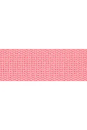 Uitverkoop Tassenband - Extra Sterk - 769 Zacht Roze 32mm