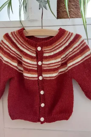 Babyvestje Terry breien - Hobby Gigant breipakket Populair