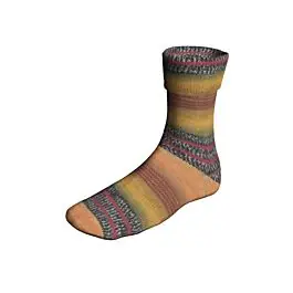 Voordeelprijs Lang Yarns Super Soxx TrainSoxx kl.489 Color 6ply sokkenwol 150gr.