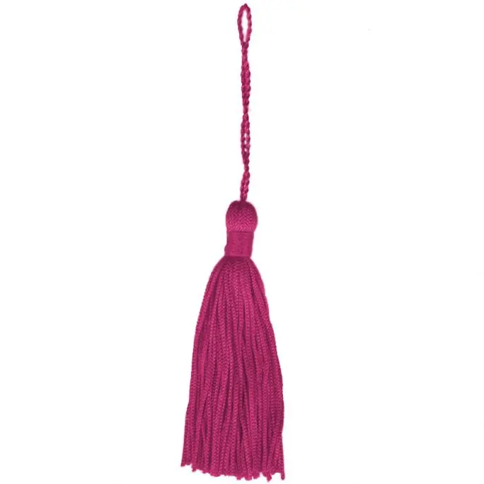 Aanbieding Sleutelkwast Fuchsia (10 cm)