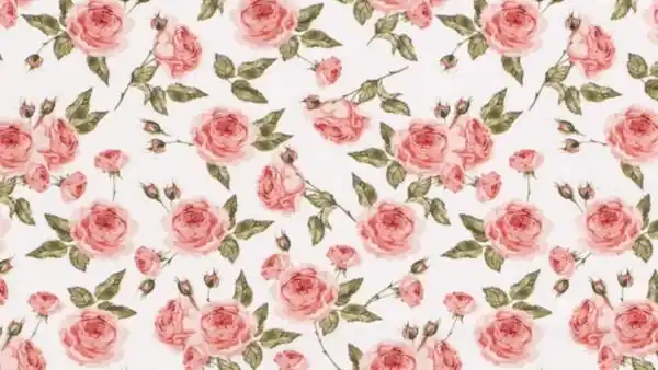 Witte poplin katoen met roze rozen \\u2013 Nooteboom kwaliteit Gratis Retour