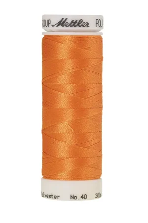 Amann Polysheen 40-200mtr kleur nr. 1010 Favoriet