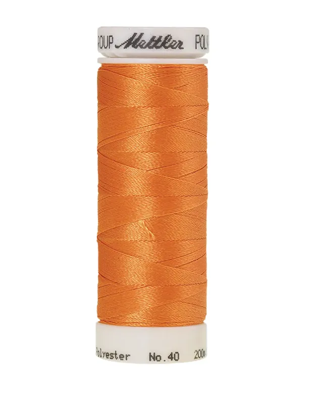 Amann Polysheen 40-200mtr kleur nr. 1010 Favoriet