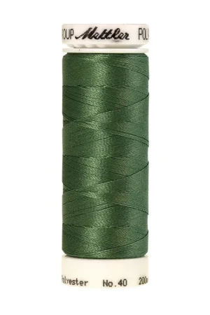 Amann Polysheen 40-200mtr kleur nr. 5743 Snelle Levering