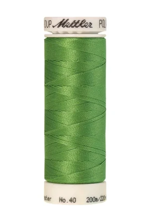 Amann Polysheen 40-200mtr kleur nr. 5610 Snelle Levering