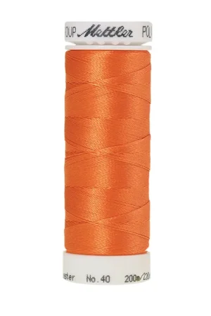 Amann Polysheen 40-200mtr kleur nr. 1220 Dagaanbieding