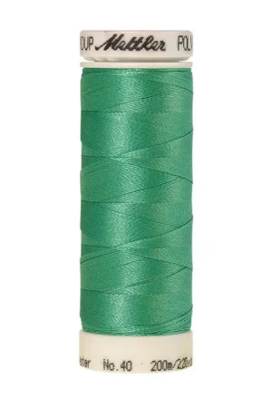 Weekendaanbieding Amann Polysheen 40-200mtr kleur nr. 5230