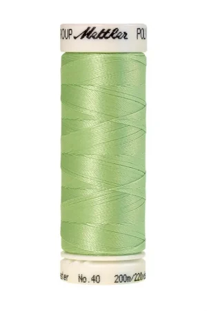 Aanbieding Amann Polysheen 40-200mtr kleur nr. 5650