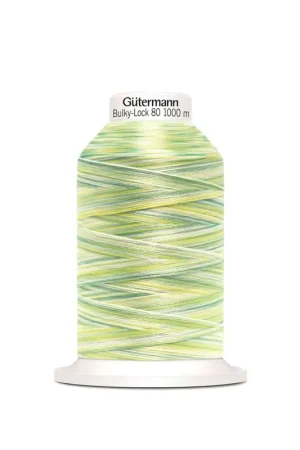 Snelle Levering Gutermann BulkyLock multicolor