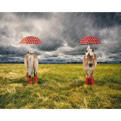 4805Digital Jersey Printpanel 120x150 cm Shop Nu