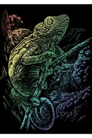 Veilige Betaling Krasfolie| Cameleon – RAIN16