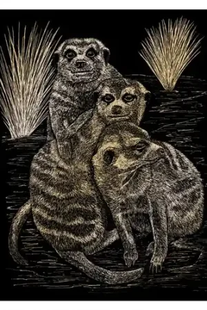 Beperkte Voorraad Krasfolie| Meercats – GOLF22