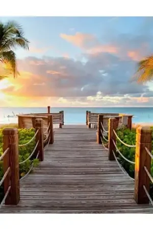 Wizardi Diamond Painting Kit Bridge in Heaven WD316 Exclusieve Aanbieding