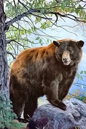 Wizardi Diamond Painting Kit BROWN BEAR WD083 Premium