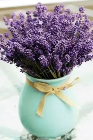 Wizardi Diamond Painting Kit Lavender bouquet WD3063 Veilige Betaling
