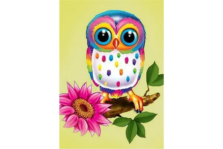 Wizardi Diamond Painting Kit Owl Maia WD248 Express Levering