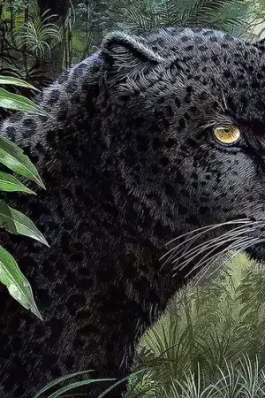 Wizardi Diamond Painting Kit Panther WD072 Aanbieding