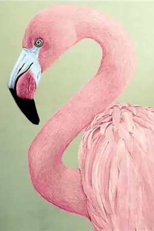Beperkte Voorraad Wizardi Diamond Painting Kit Pink Flamingo WD232