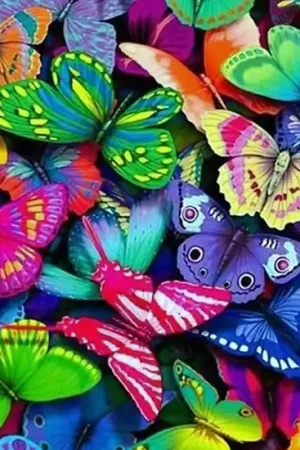 Wizardi Diamond Painting Kit Rainbow Butterflies WD057 Express Levering