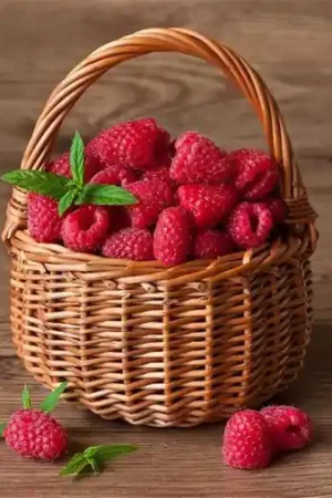 Wizardi Diamond Painting Kit Raspberry Basket WD252 Shop Nu