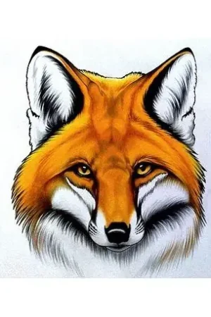 Bestseller Wizardi Diamond Painting Kit Red Fox WD2375