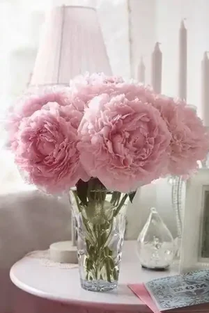 Wizardi Diamond Painting Kit Soft Peonies WD002 Finale Uitverkoop