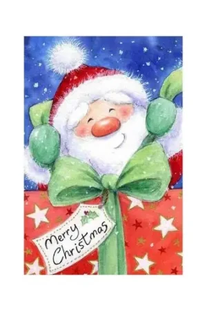 Wizardi Diamond Painting Kit Santa with Gift WD2435 Op = Op