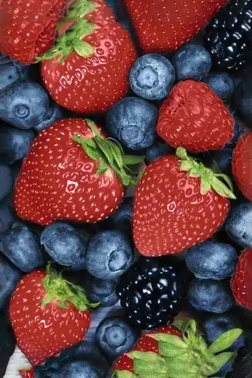 Wizardi Diamond Painting Kit Wildberries WD051 Beperkte Voorraad