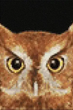 Beste Prijs Wizardi Diamond Painting Kit Wise Owl WD2379