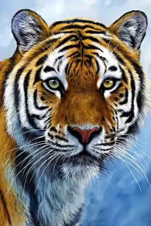 Wizardi Diamond Painting Kit Tiger WD309 Uitverkoop