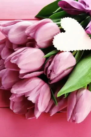 Wizardi Diamond Painting Kit Tulips and Love WD022 Tijdelijk Beschikbaar