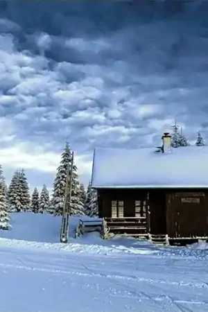 Wizardi Diamond Painting Kit VALLEY OF SNOW WD106 Seizoensaanbieding