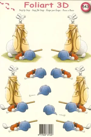 3D knipvel – Foliart – 543 Beste Prijs