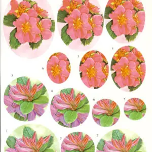 Speciale Aanbieding 3D knipvel – Foliart – 684