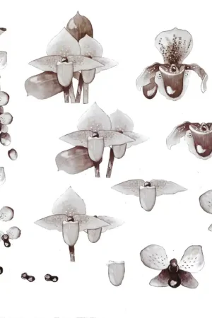 3D knipvel – Marieke´s Design – 751 Hete Deal