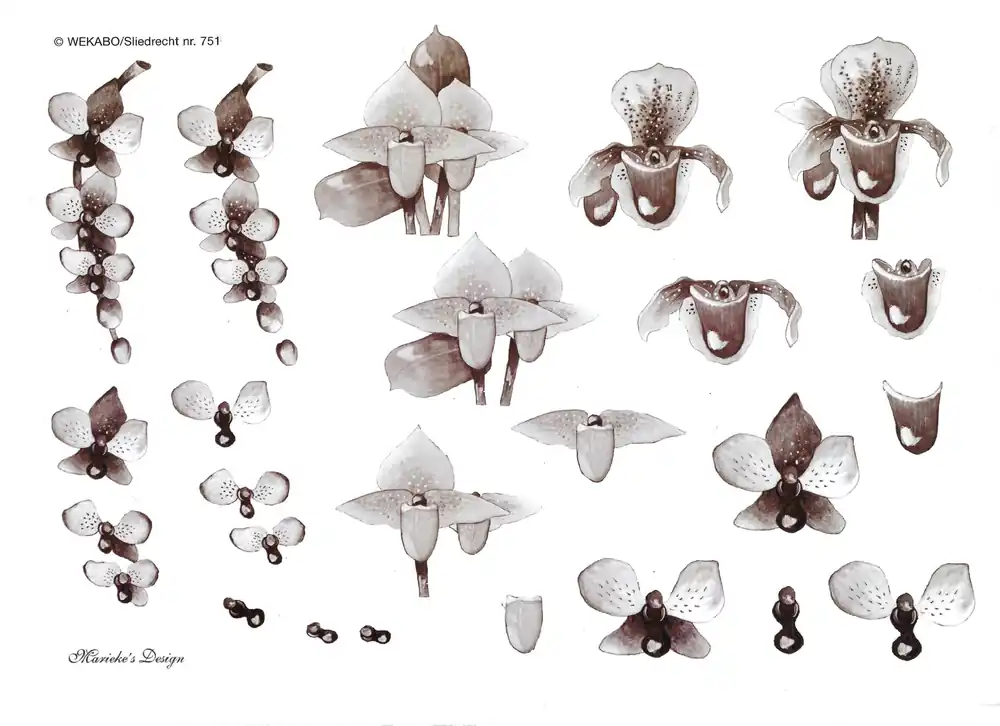 3D knipvel – Marieke´s Design – 751 Hete Deal