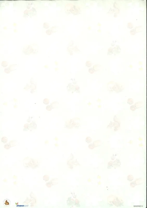 3D knipvel – Studio Light – BASISNS 13 Meest Verkocht